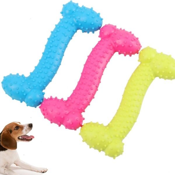 3-Pack Natural Rubber Chew Bones for Small-Medium