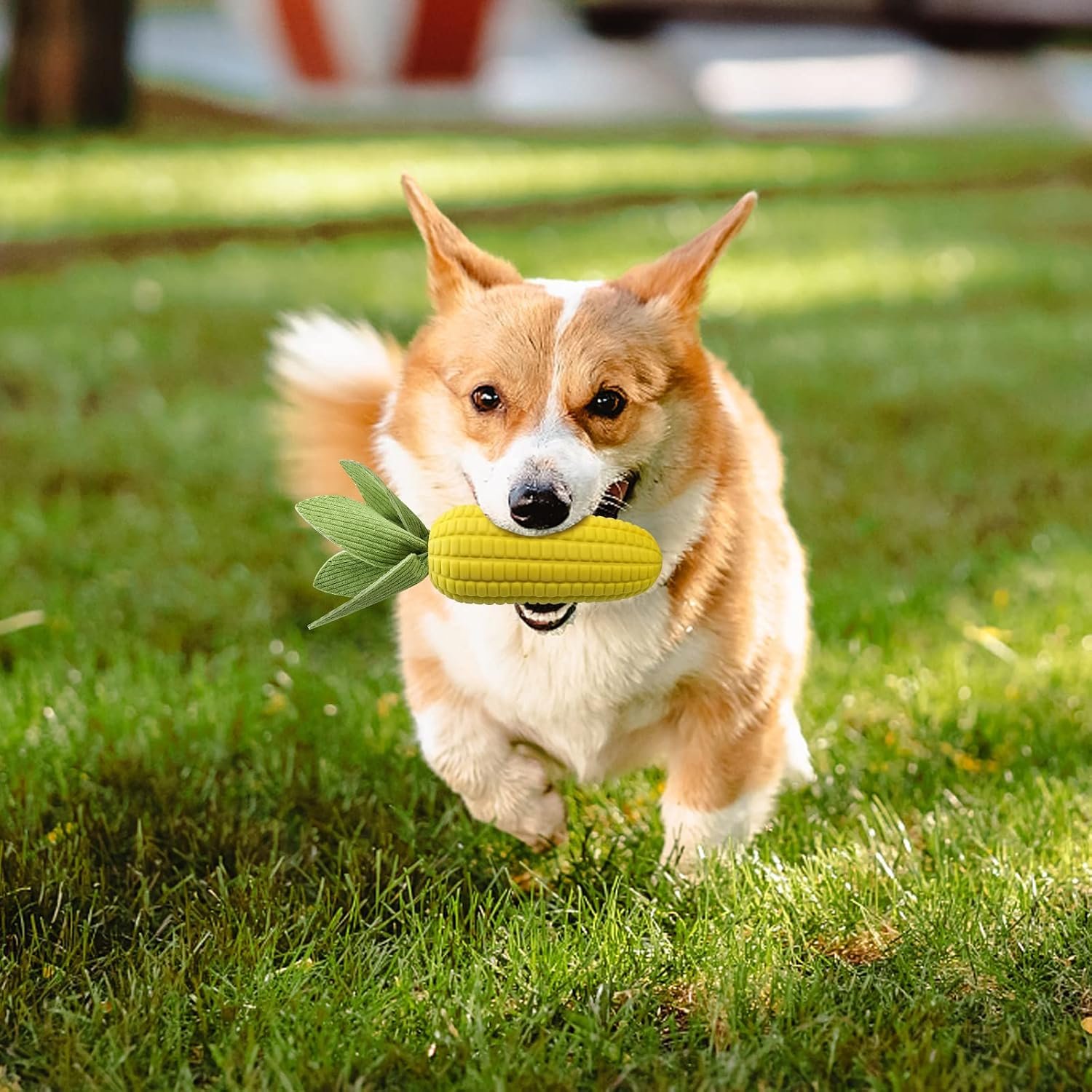 Corn Rubber Squeaky Toy for All Size Dogs