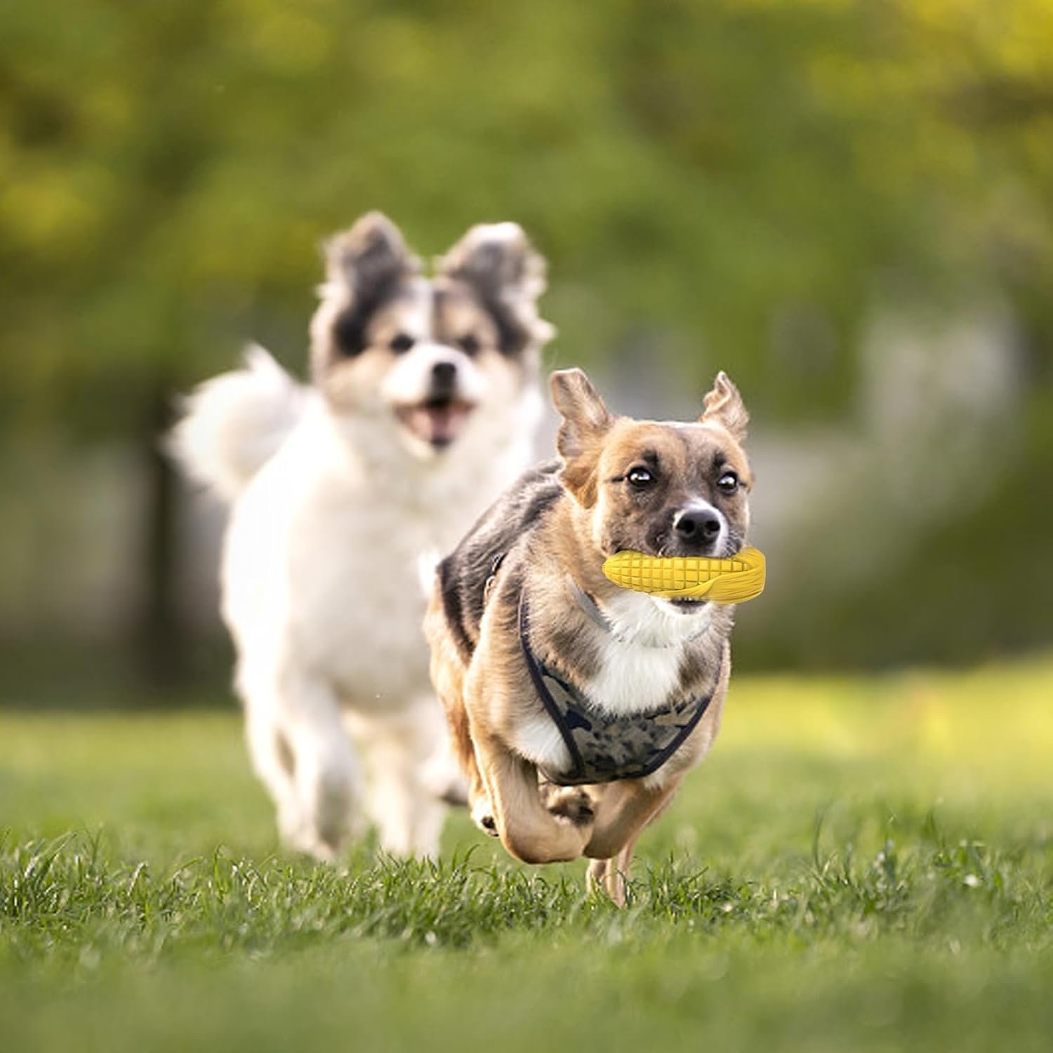Corn-Shaped Rubber Squeaky Toy for Medium-Large