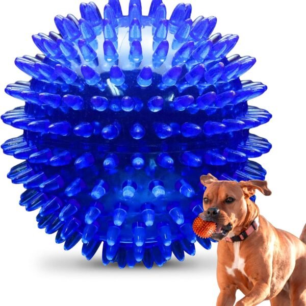 Spiky Squeaky Interactive Chew Ball (Small/Medium Dogs)
