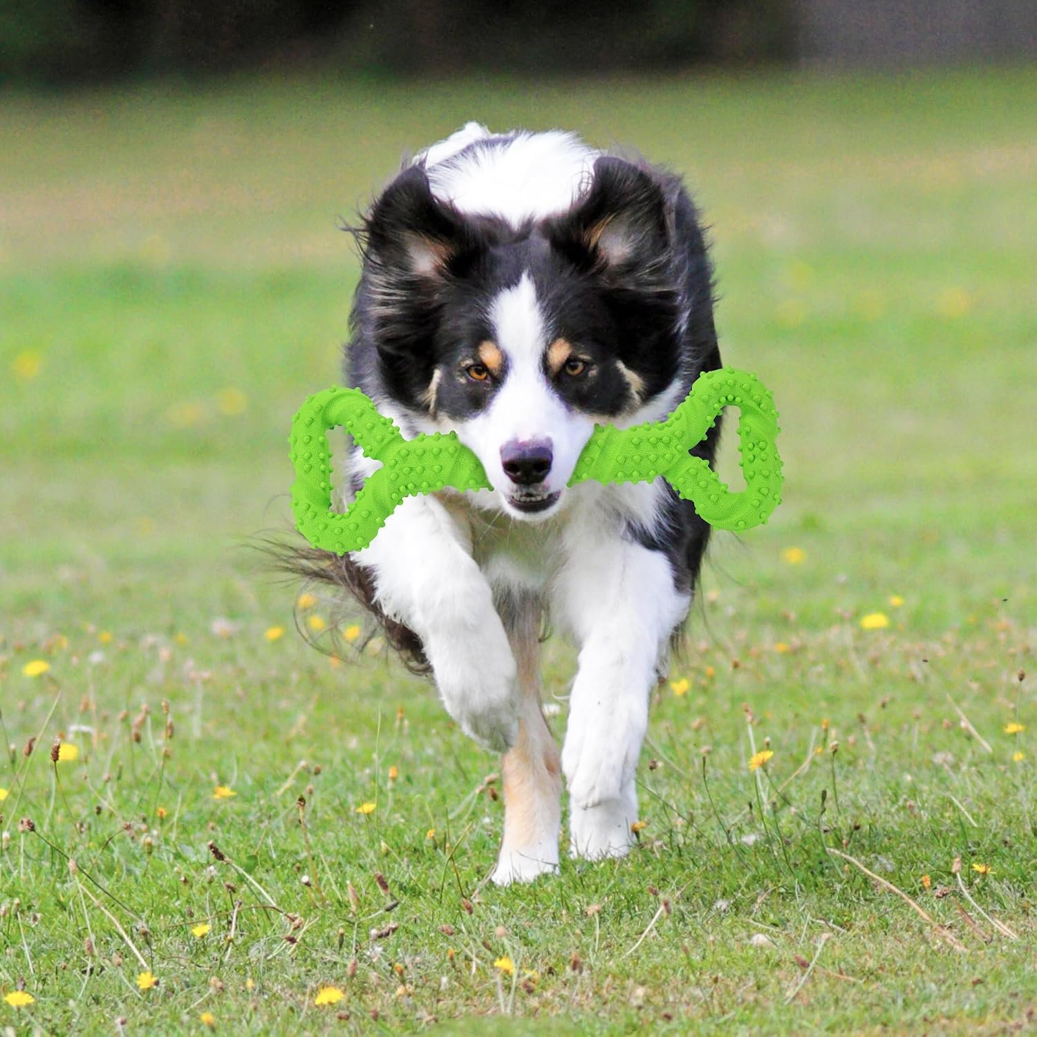 13-Inch TPR Chew Bone for Medium-Large under 45lbs - Image 2