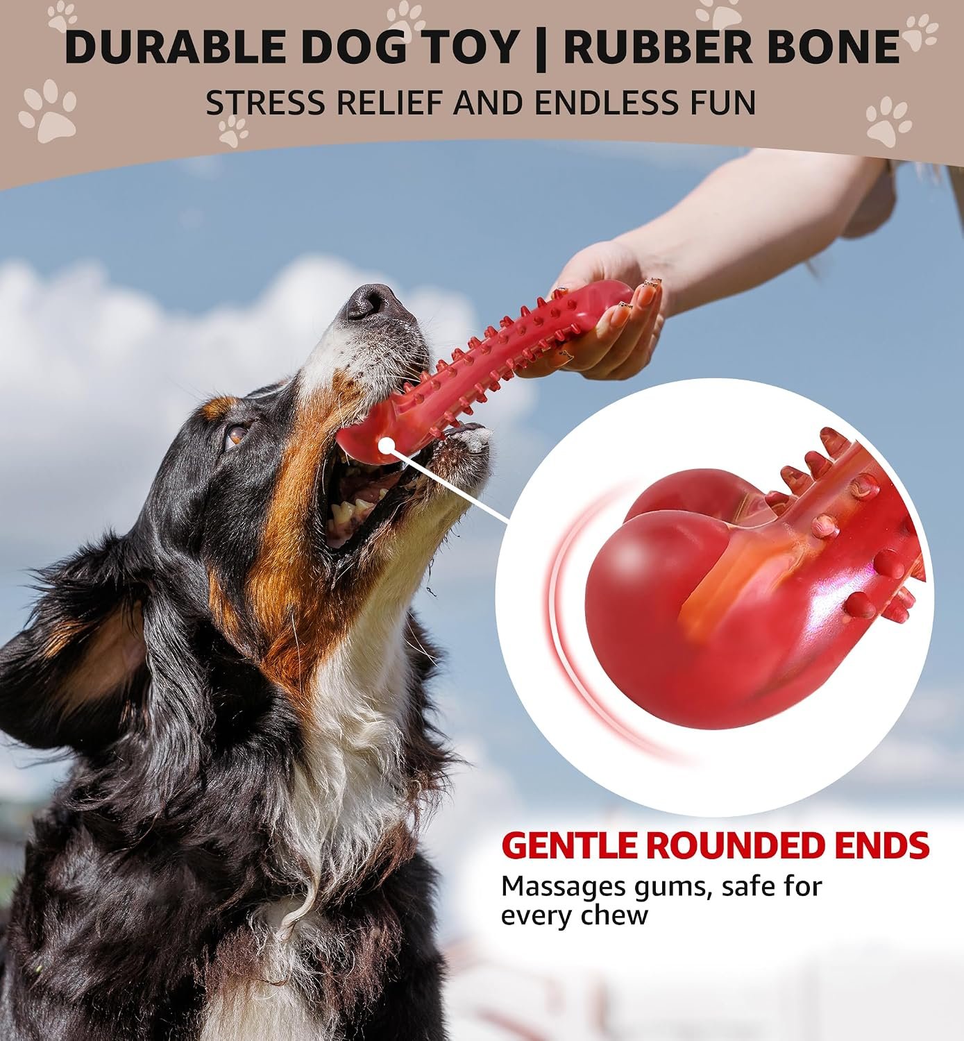 Beef-Flavoured Rubber Chew Bone for All Sizes - Image 2