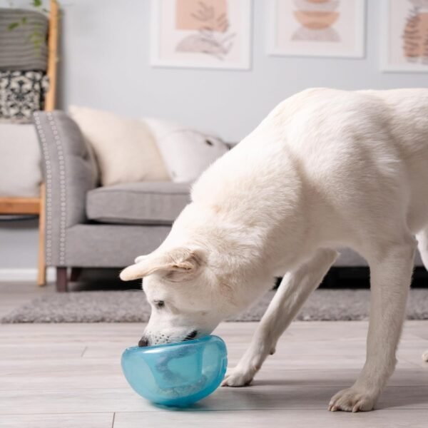 Interactive Treat Dispensing Dog Toy, Blue, 5-Inch